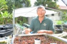 Clyde Tamaru with aquaponics